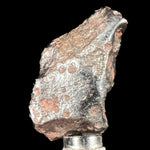 Sikhote-Alin Meteorite