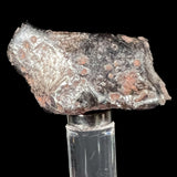 Sikhote Alin Meteorite