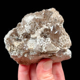 Smoky Quartz with Microcline - Utah