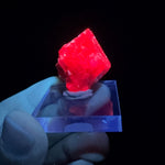 Spinel crystal displaying UV fluorescence