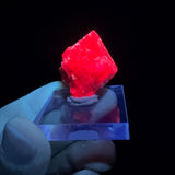 Spinel crystal displaying UV fluorescence