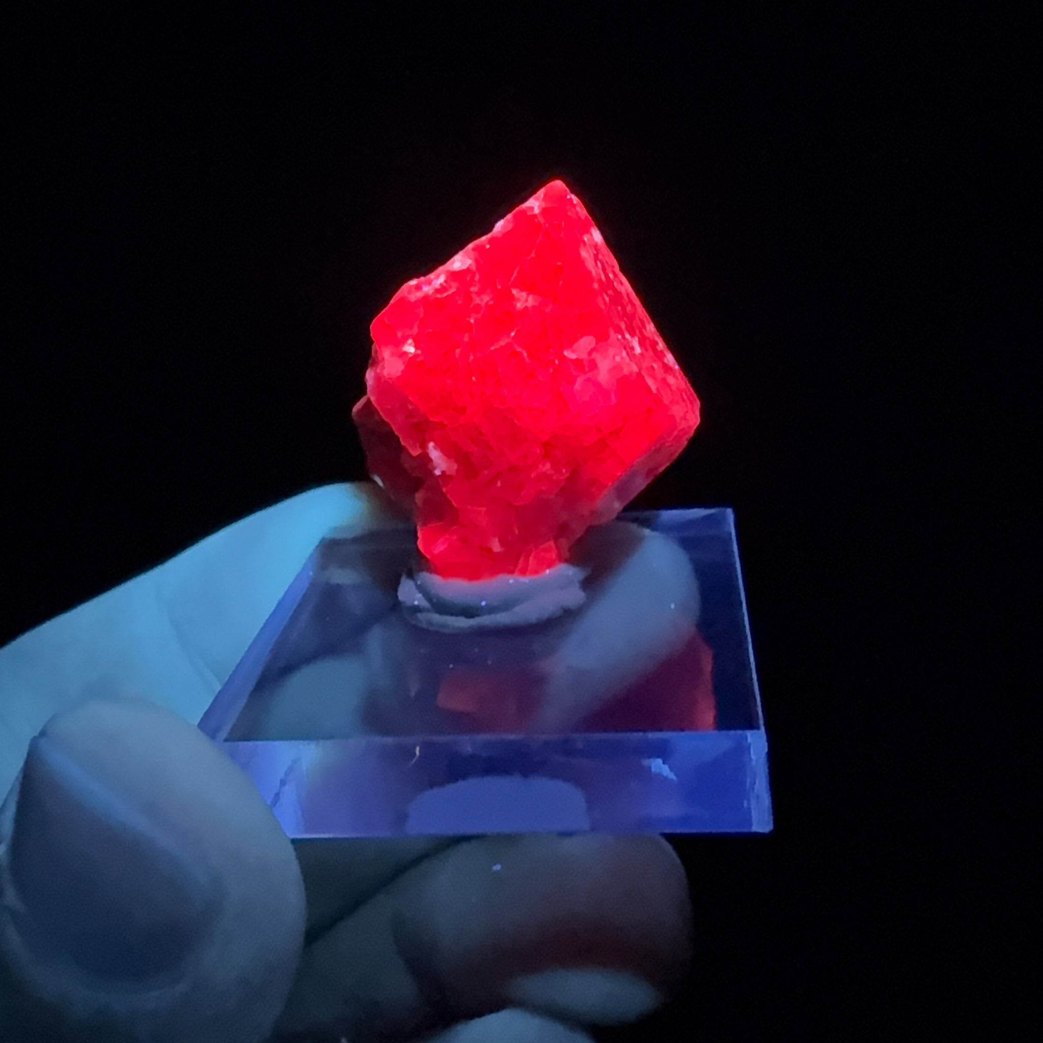 Spinel crystal displaying UV fluorescence