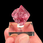 Red pink Spinel mineral specimen - Tanzania