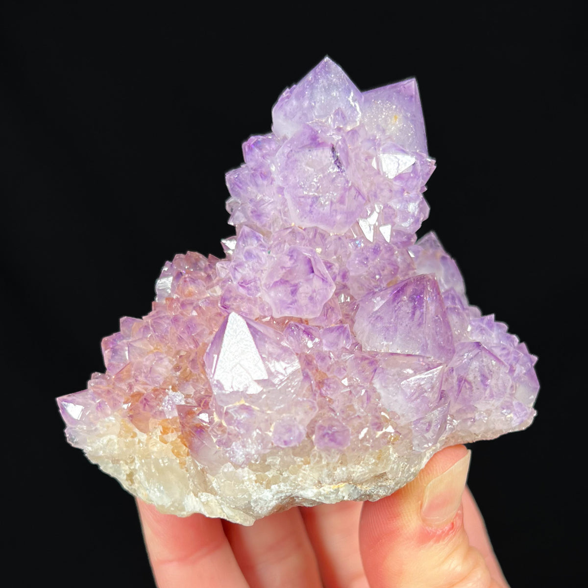 Cactus Quartz Amethyst from South Africa
