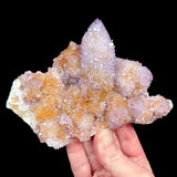 Cactus Quartz Amethyst crystal from South Africa