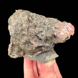 Side view of geode