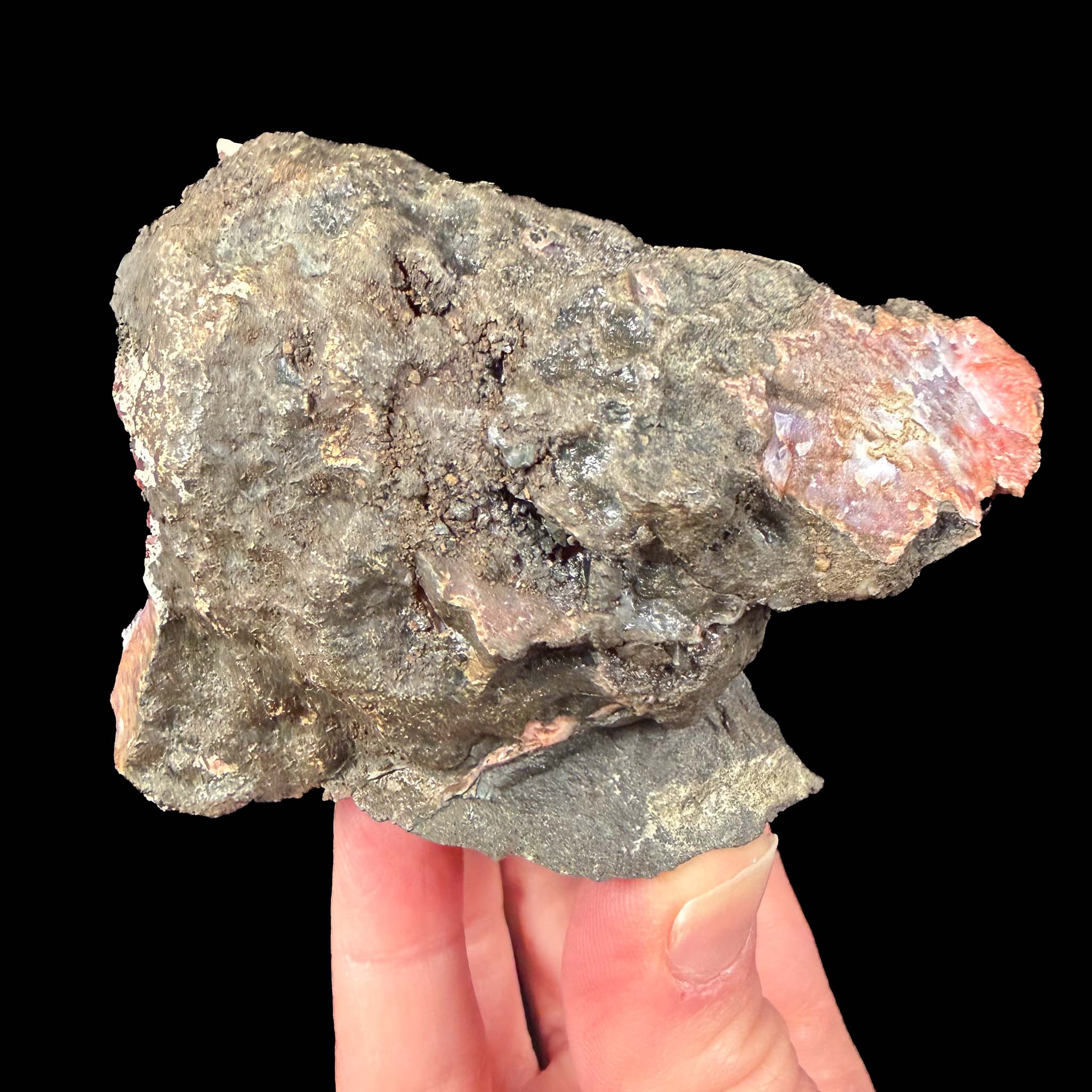 Side view of geode
