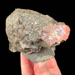 reverse side of specimen