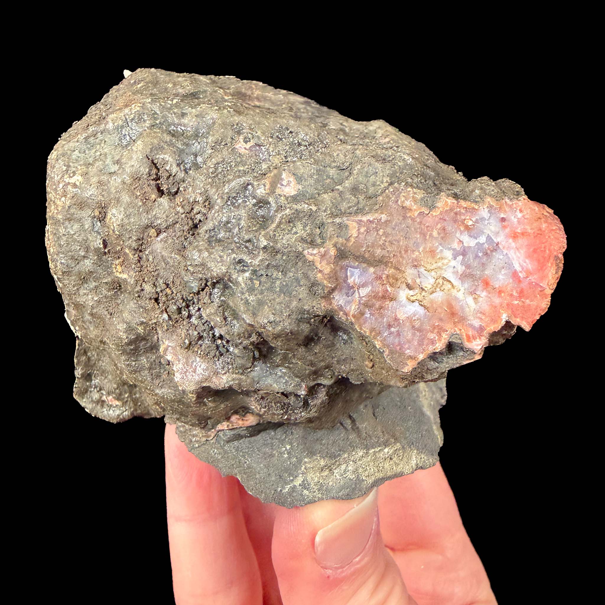 reverse side of specimen