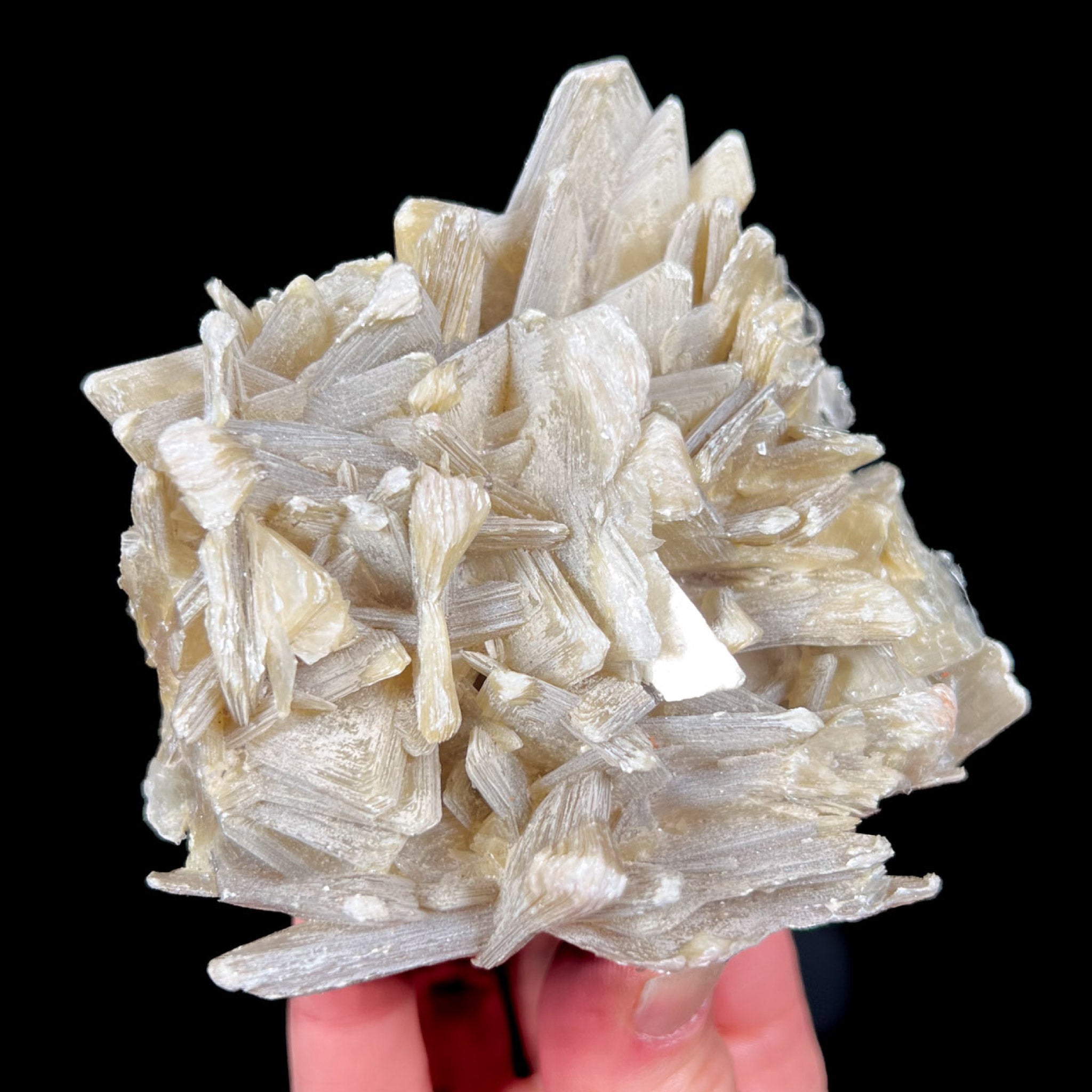Star Muscovite mineral specimen from Brazil