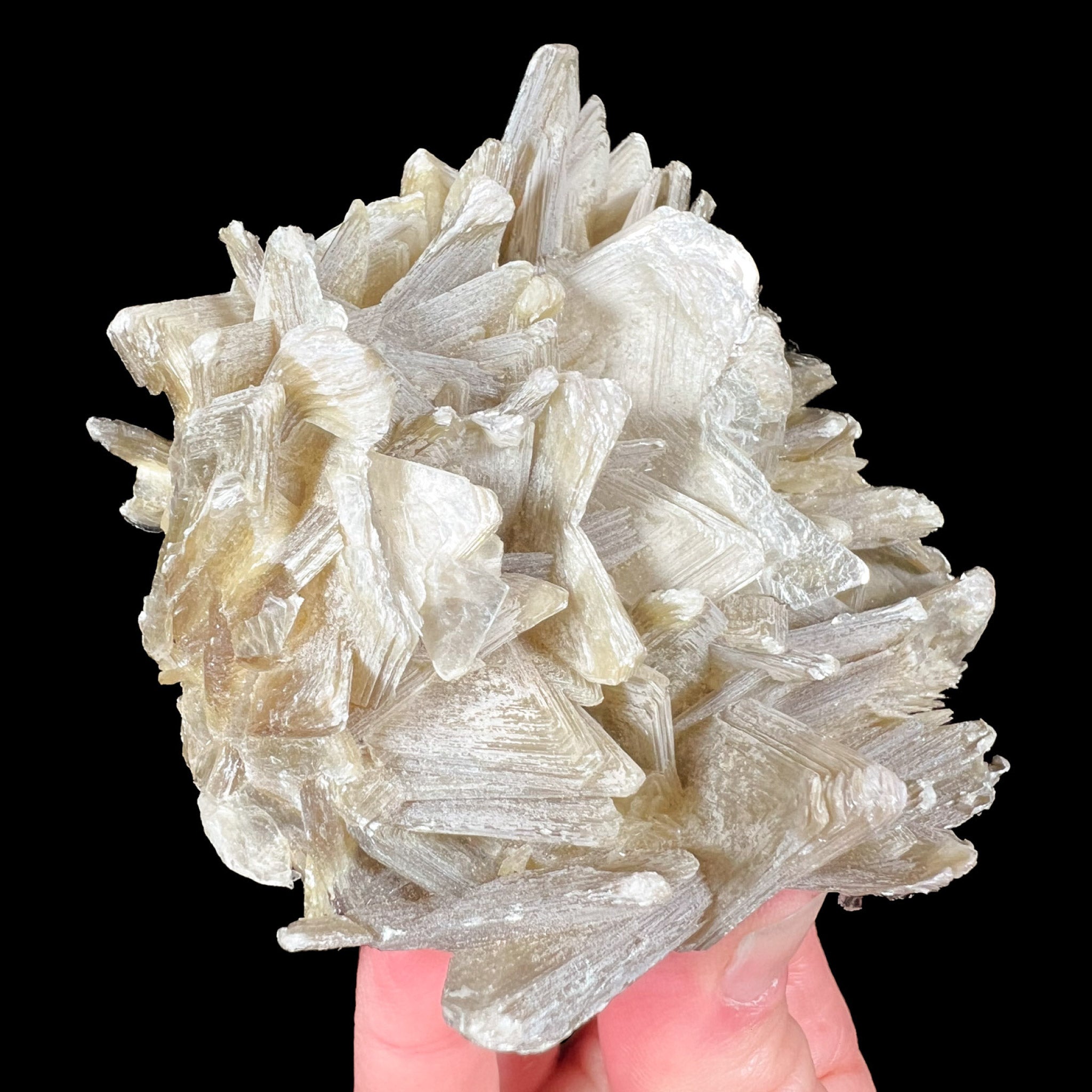 Star shaped crystals of muscovite