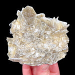 Back side of specimen