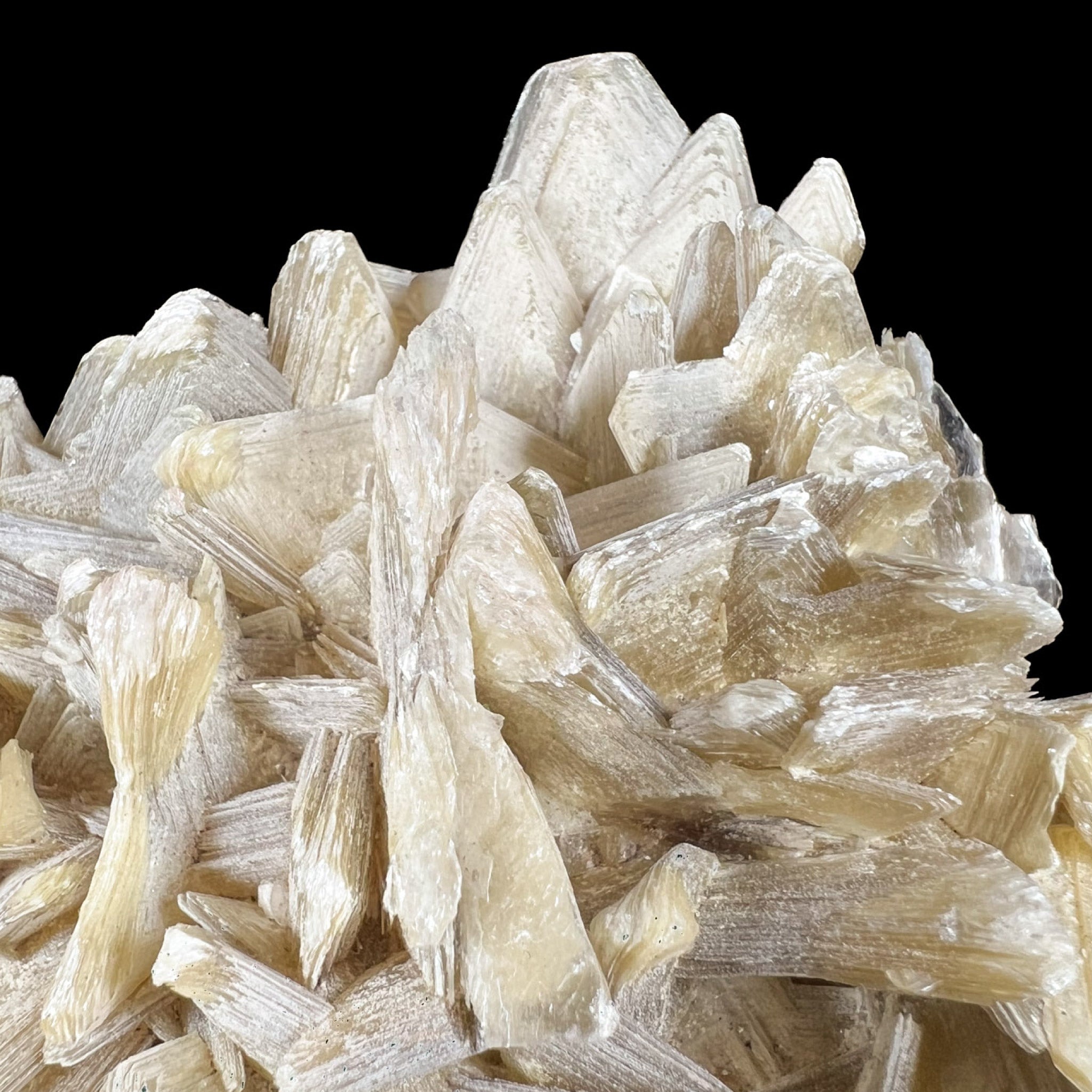 Close up of star-shaped muscovite mica crystals