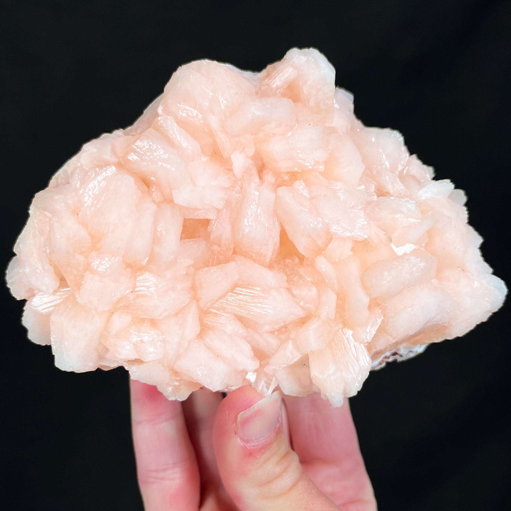 Stilbite Mineral Specimen For Sale Unearthed Store