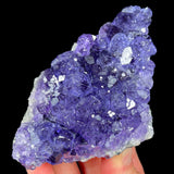 Tanzanite Fluorite with blue and purple colored crystals