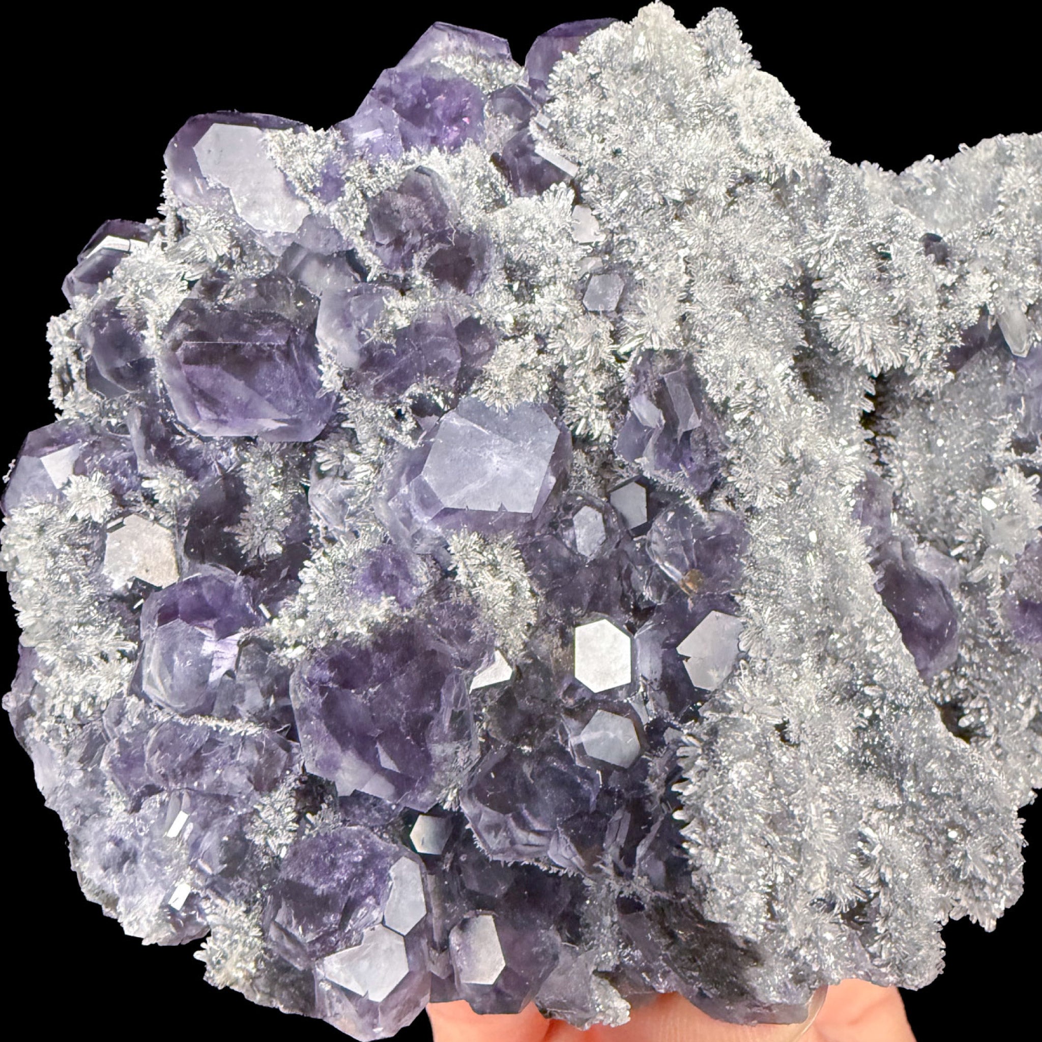Tanzanite Fluorite with Quartz crystal specimen from China
