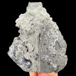Back side of specimen
