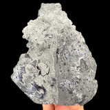 Back side of specimen