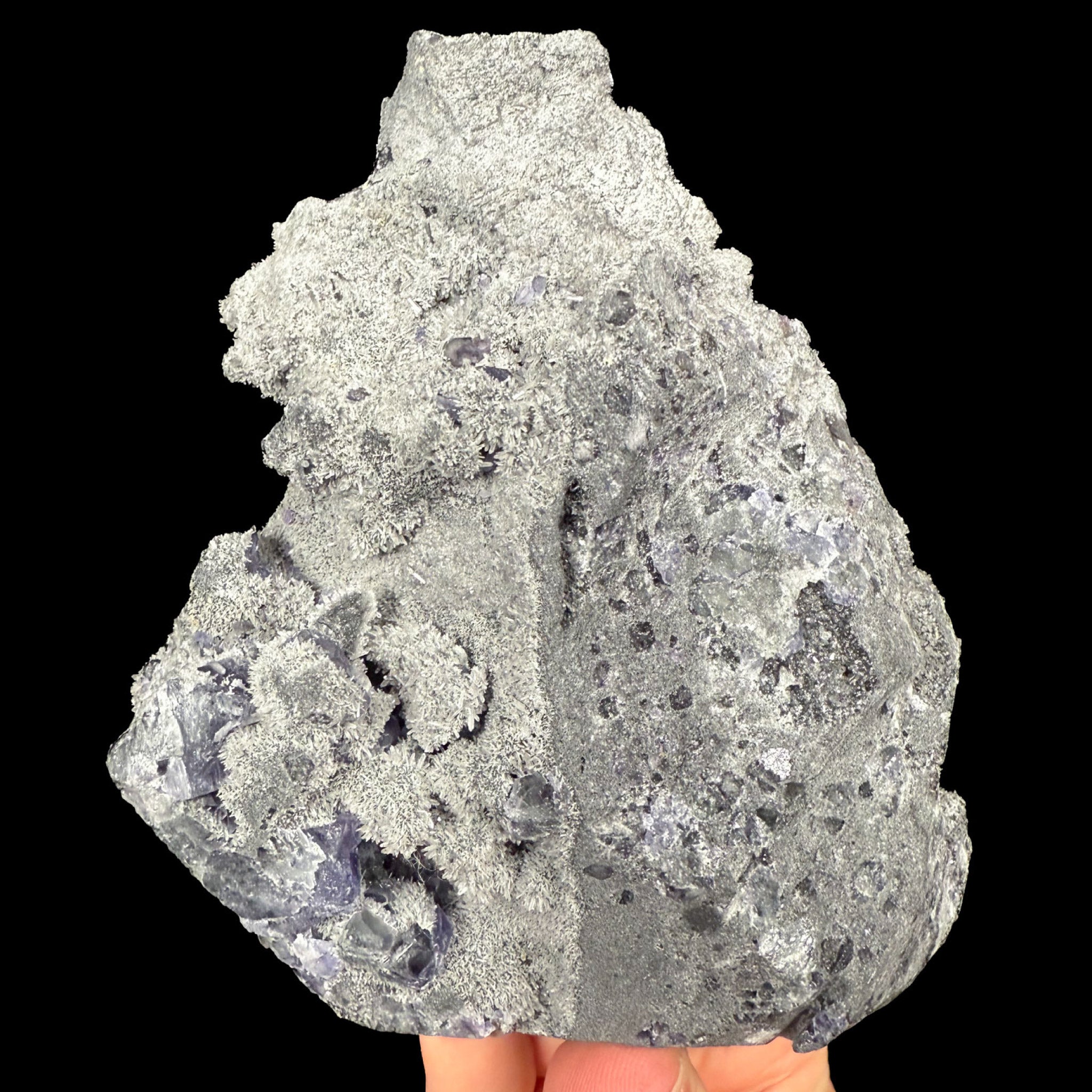 Back side of specimen