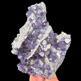 Tanzanite Fluorite and Quartz Mineral Specimen from China