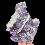 Tanzanite Fluorite Mineral Specimen with Quartz