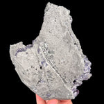 Back Side of Specimen