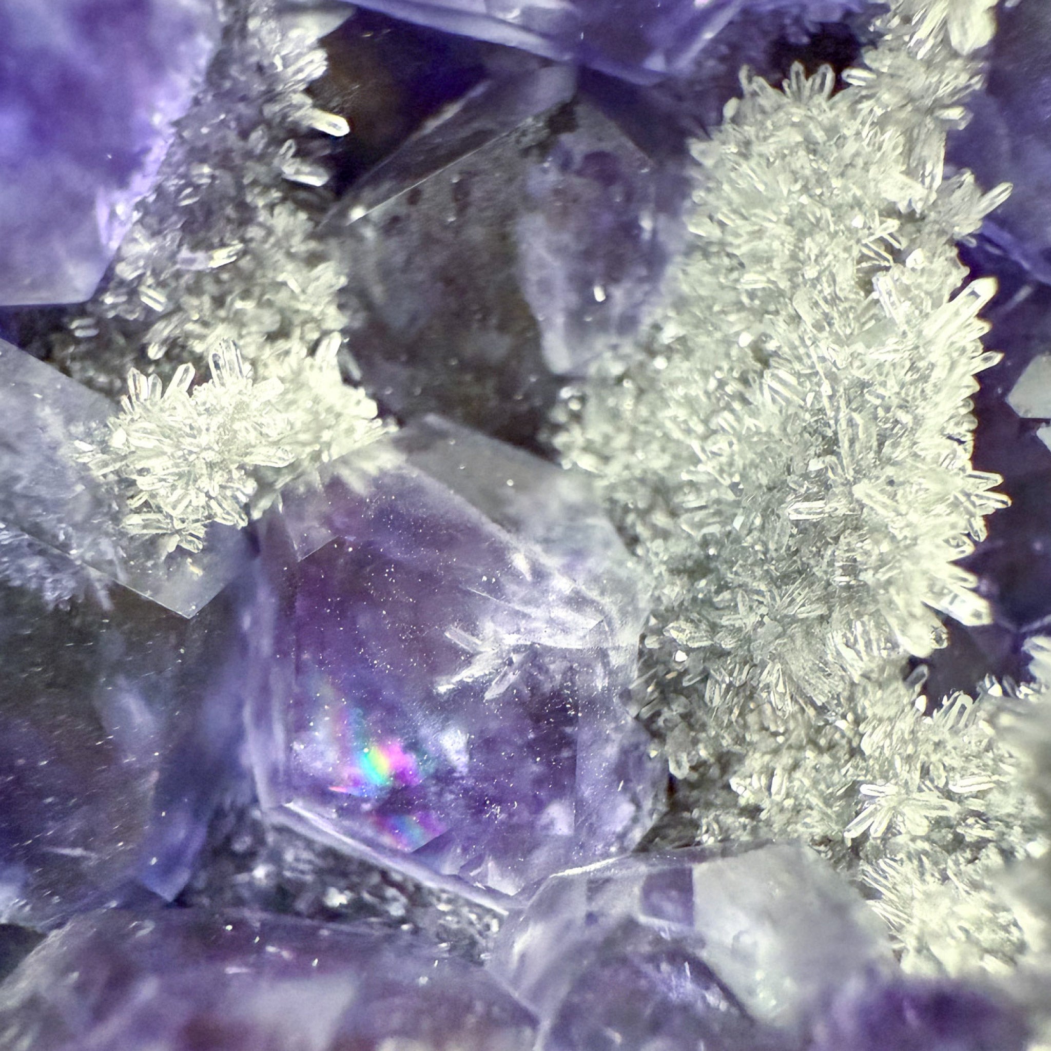 Close up of Purple Dodecahedron Fluorite crystals with Quartz