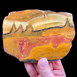 Tiger Iron Marra Mamba Slab from Australia