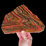 Slice of polished Tiger Iron