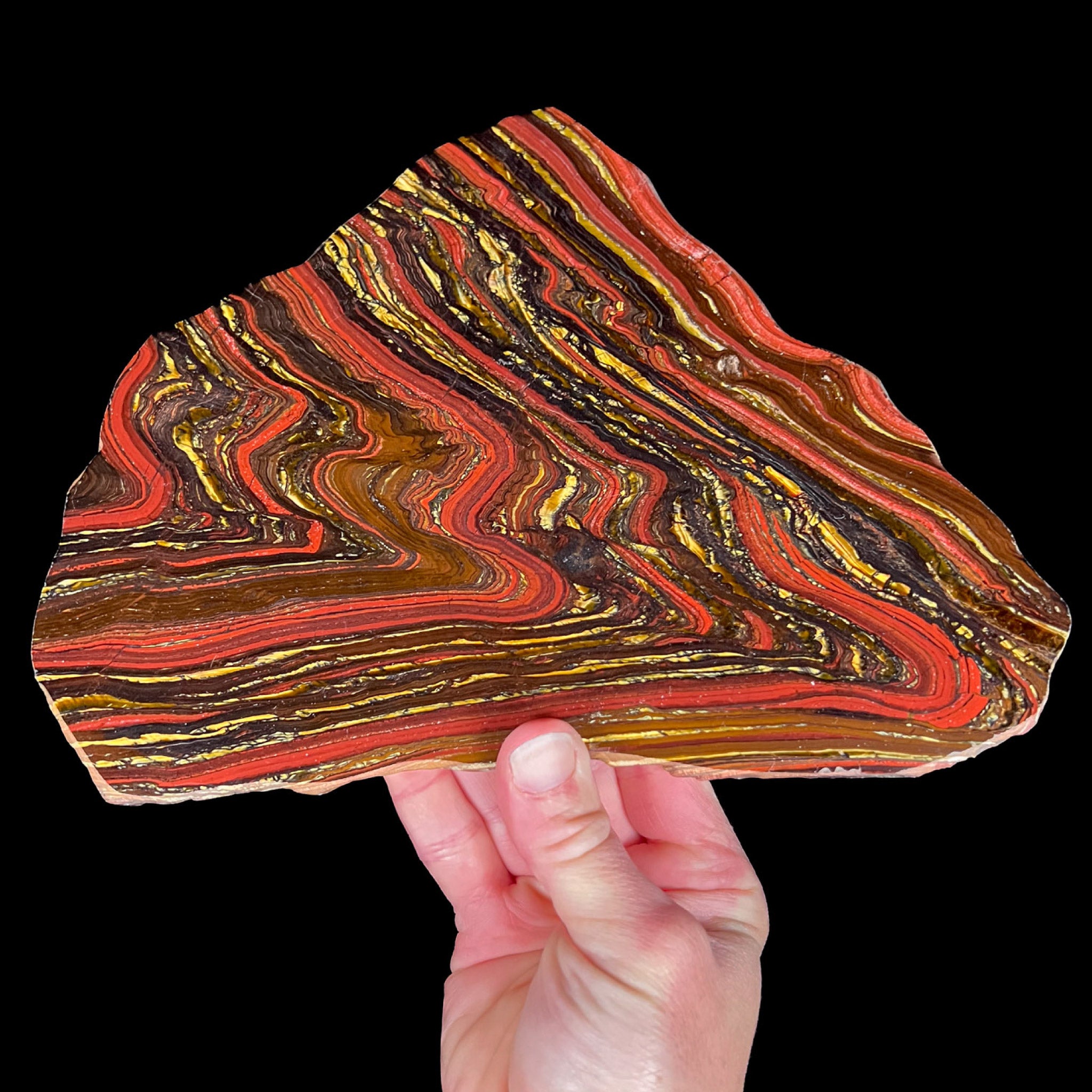 Slice of polished Tiger Iron