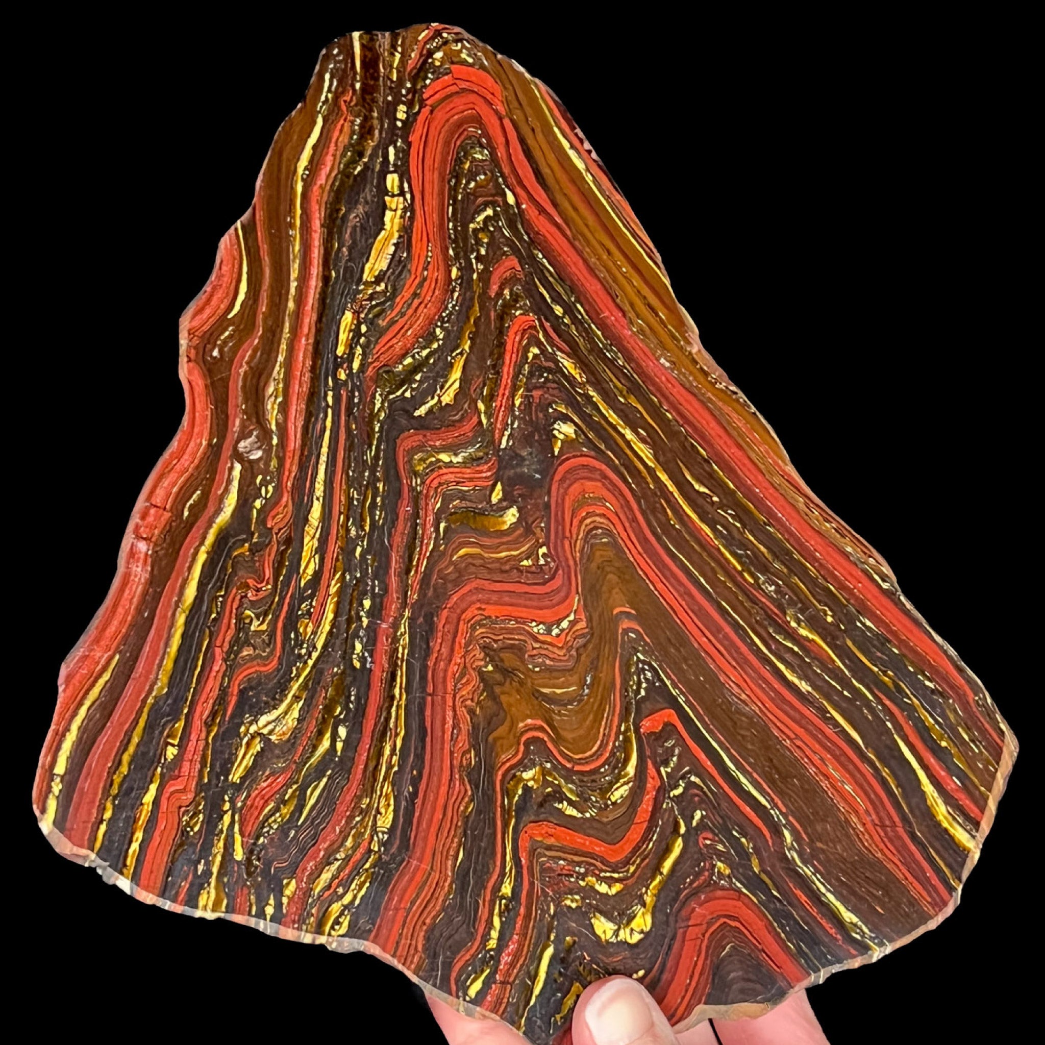 Cut and polished slice of Tiger Iron from Australia