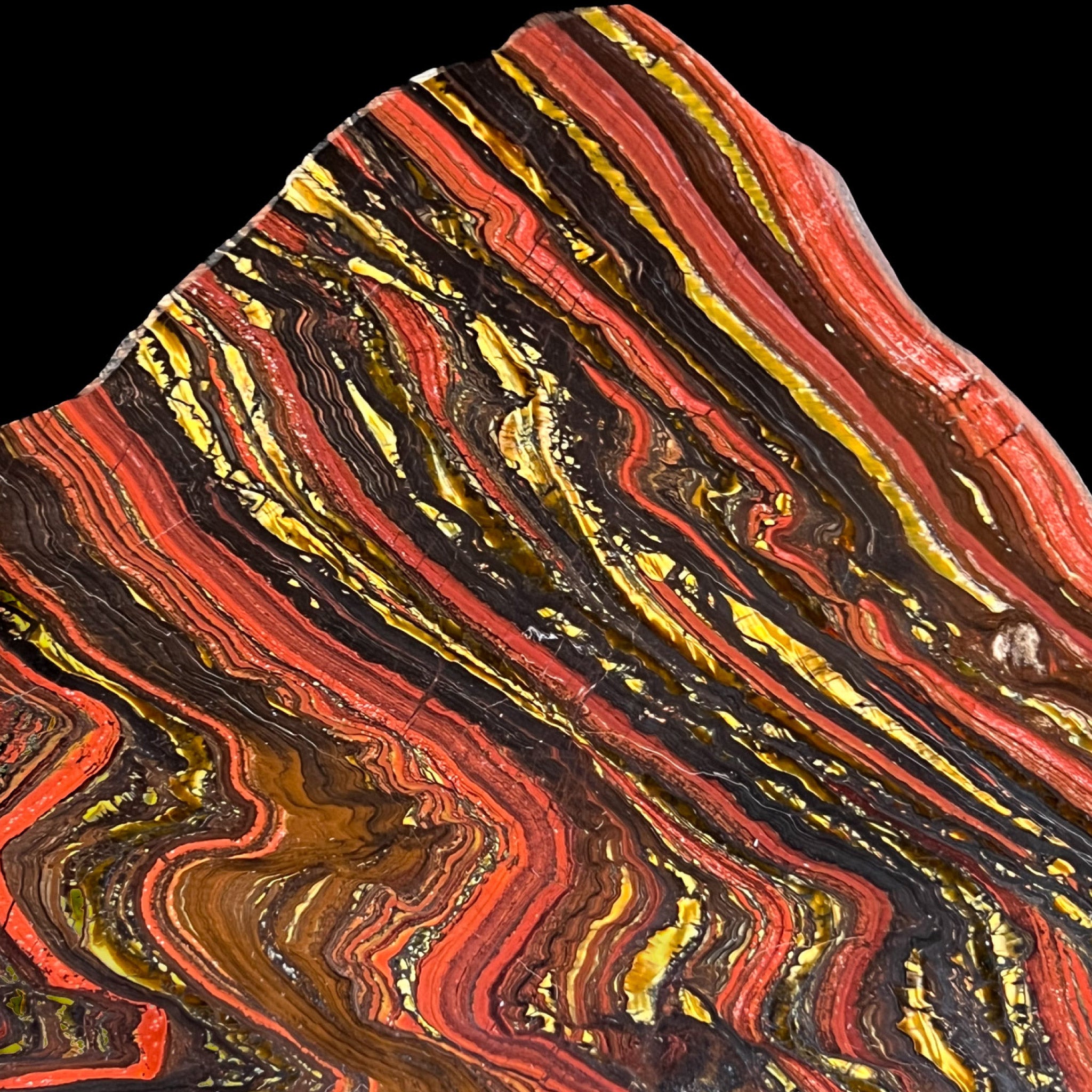 Close-up of a colorful,  red, yellow, and black banding patterns of Tiger Iron stone