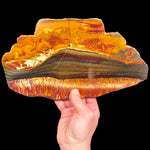 Large Marra Mamba Tiger Iron Tiger Eye Slice from Australia