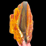 Large red and gold Tiger Iron stone slab from Marra Mamba Formation Australia