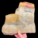 Unpolished back side of Tiger Iron Slice