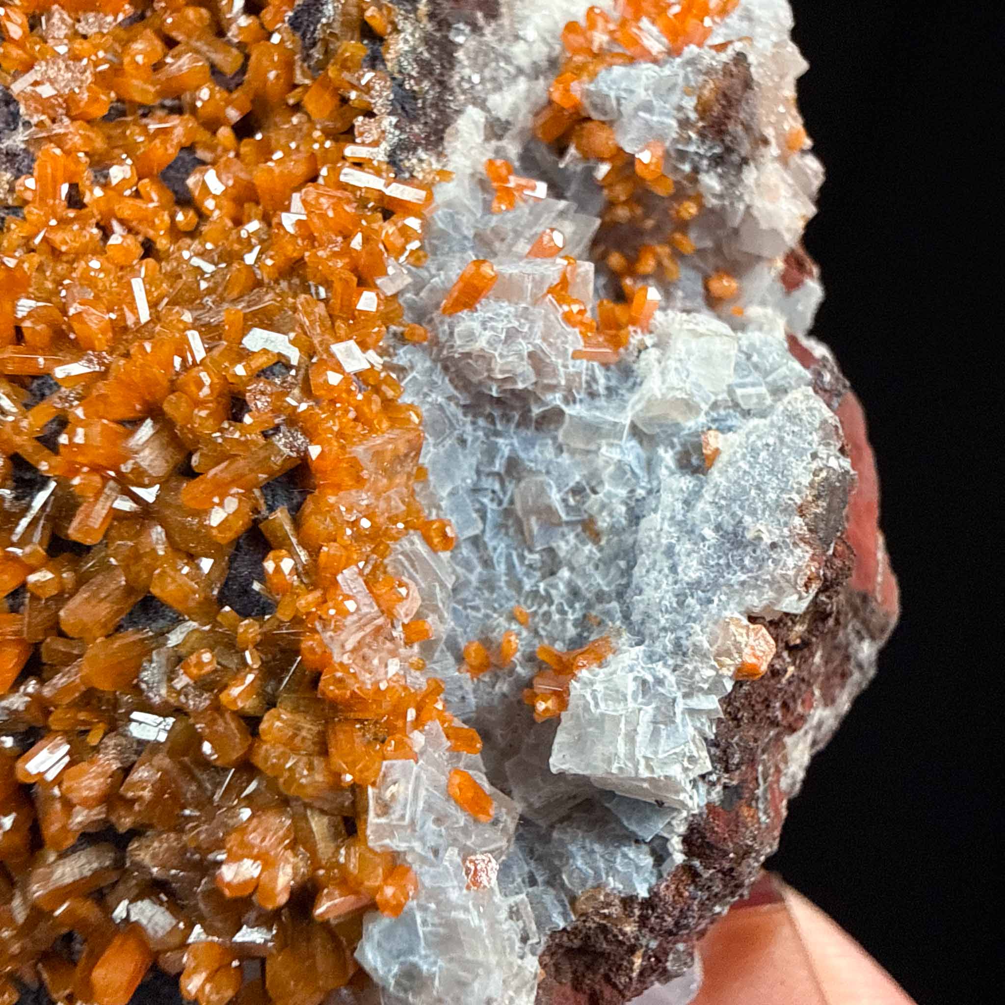 Close up of Calcite with Vanadinite crystals from Old Yuma Mine, AZ