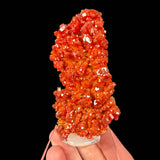Vanadinite mineral specimen - Morocco
