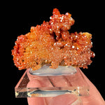 Reverse side of specimen