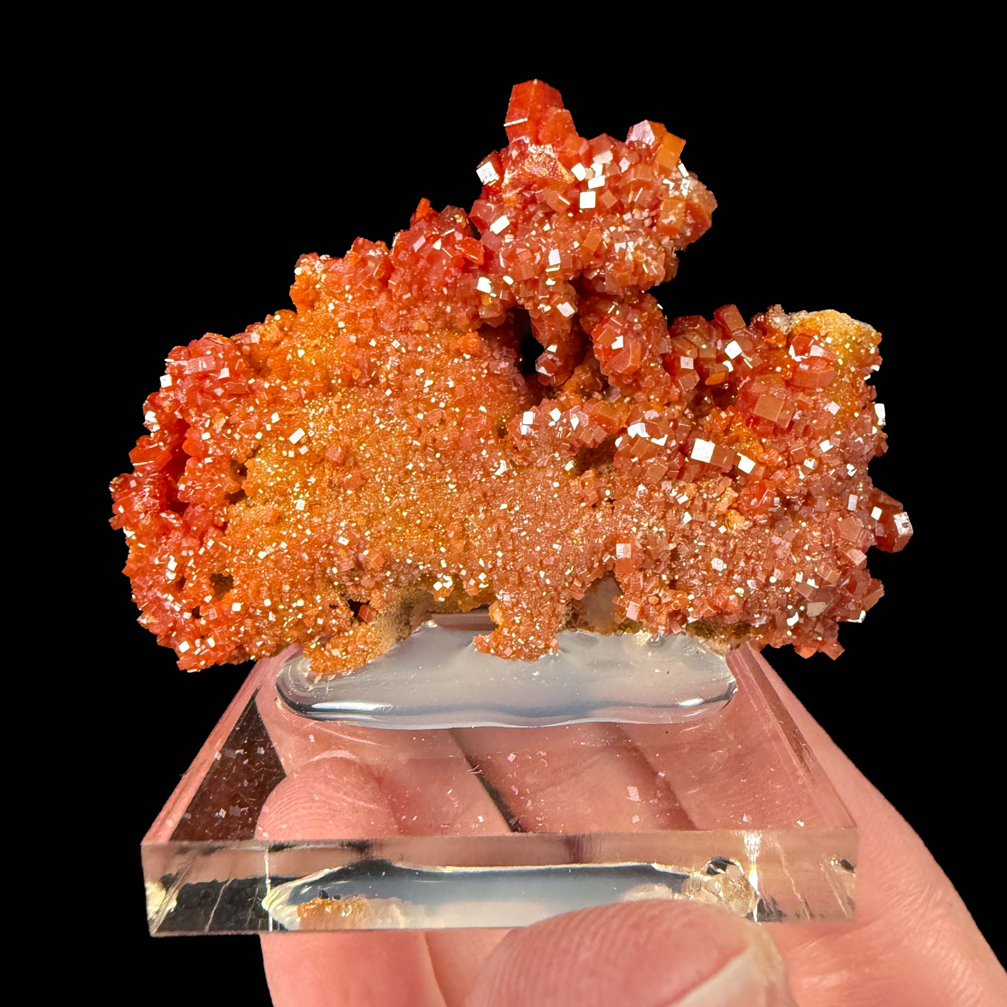 Reverse side of specimen