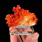 Vanadinite crystals on Barite from Morocco