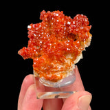 Red crystals of Vanadinite on white Barite