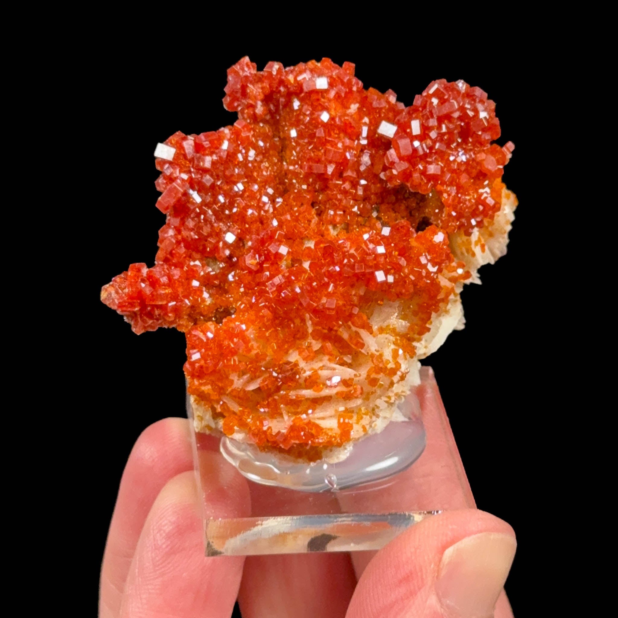 Red crystals of Vanadinite on white Barite