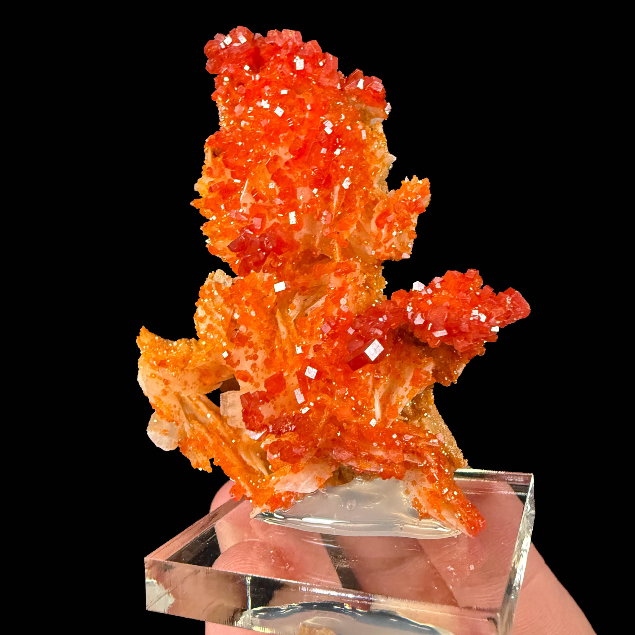 Vanadinite crystals on Barite crystal blades from Morocco