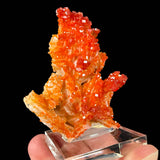 Red orange Vanadinite crystals on white Barite crystals