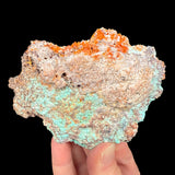 Chrysocolla with Wulfenite from Arizona
