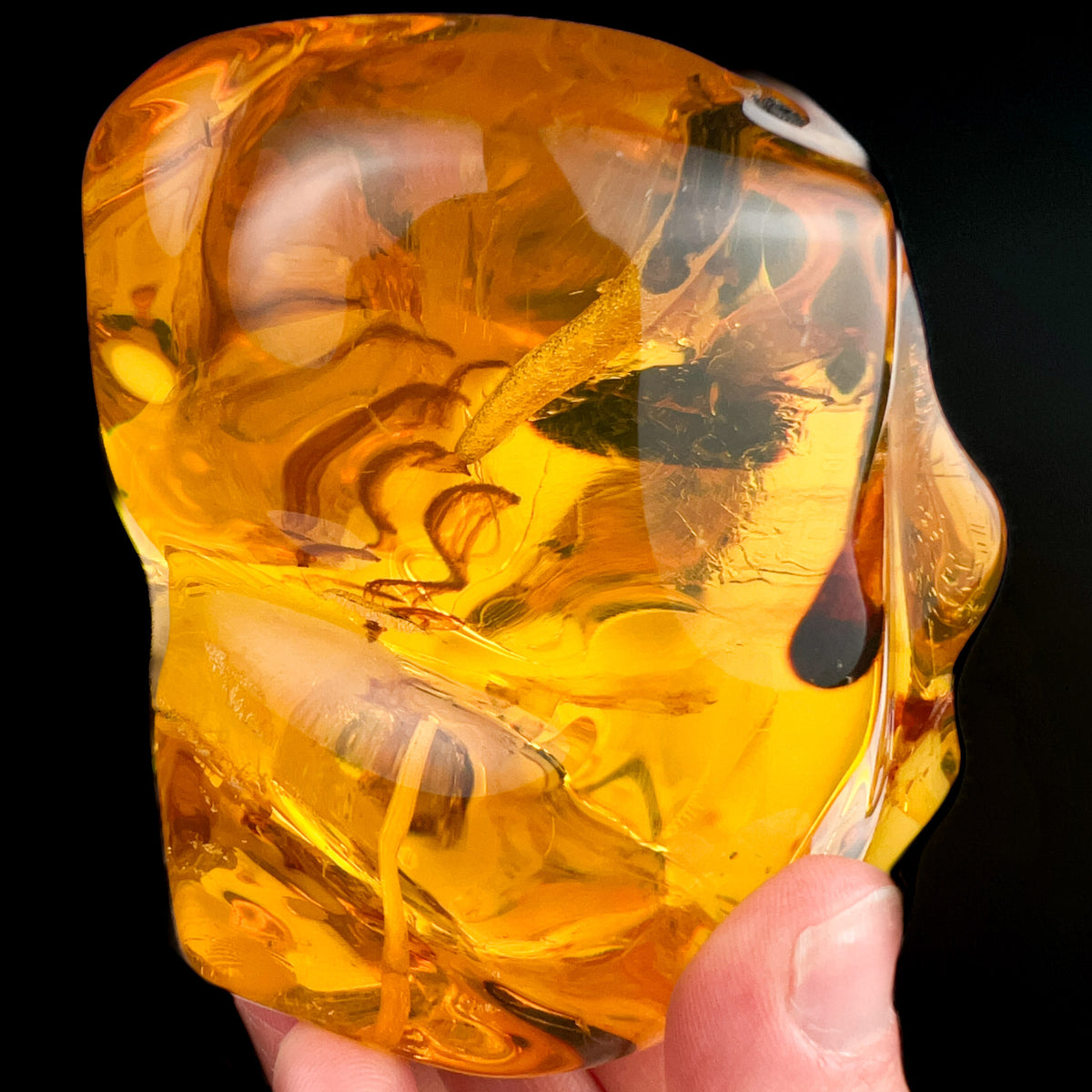 Extra Large Colombian &quot;young&quot; Amber