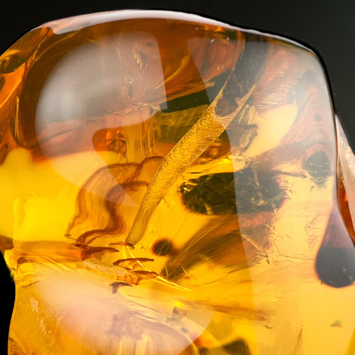 Organic material trapped in Colombian copal Amber