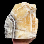 Golden yellow and black and white zebra Calcite raw specimen