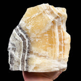 Golden yellow and black and white zebra Calcite raw specimen