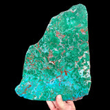 Large stone slice of Chrysocolla, Malachite, Cuprite and Quartz from Western Australia